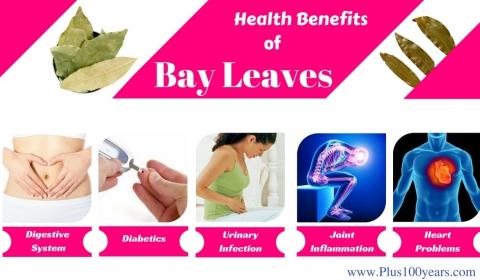 Health Benefits Of Bay Leaves ?itok=zQEZu2ej